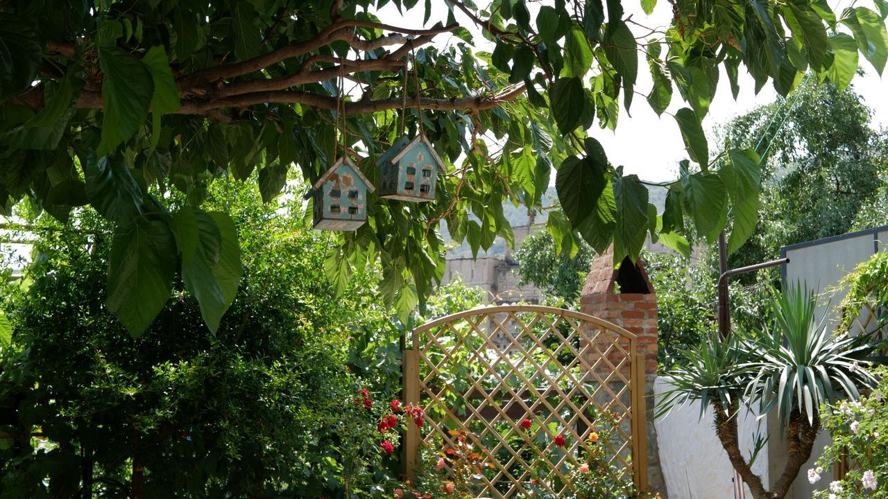 Hotel My Garden à Tbilissi Extérieur photo