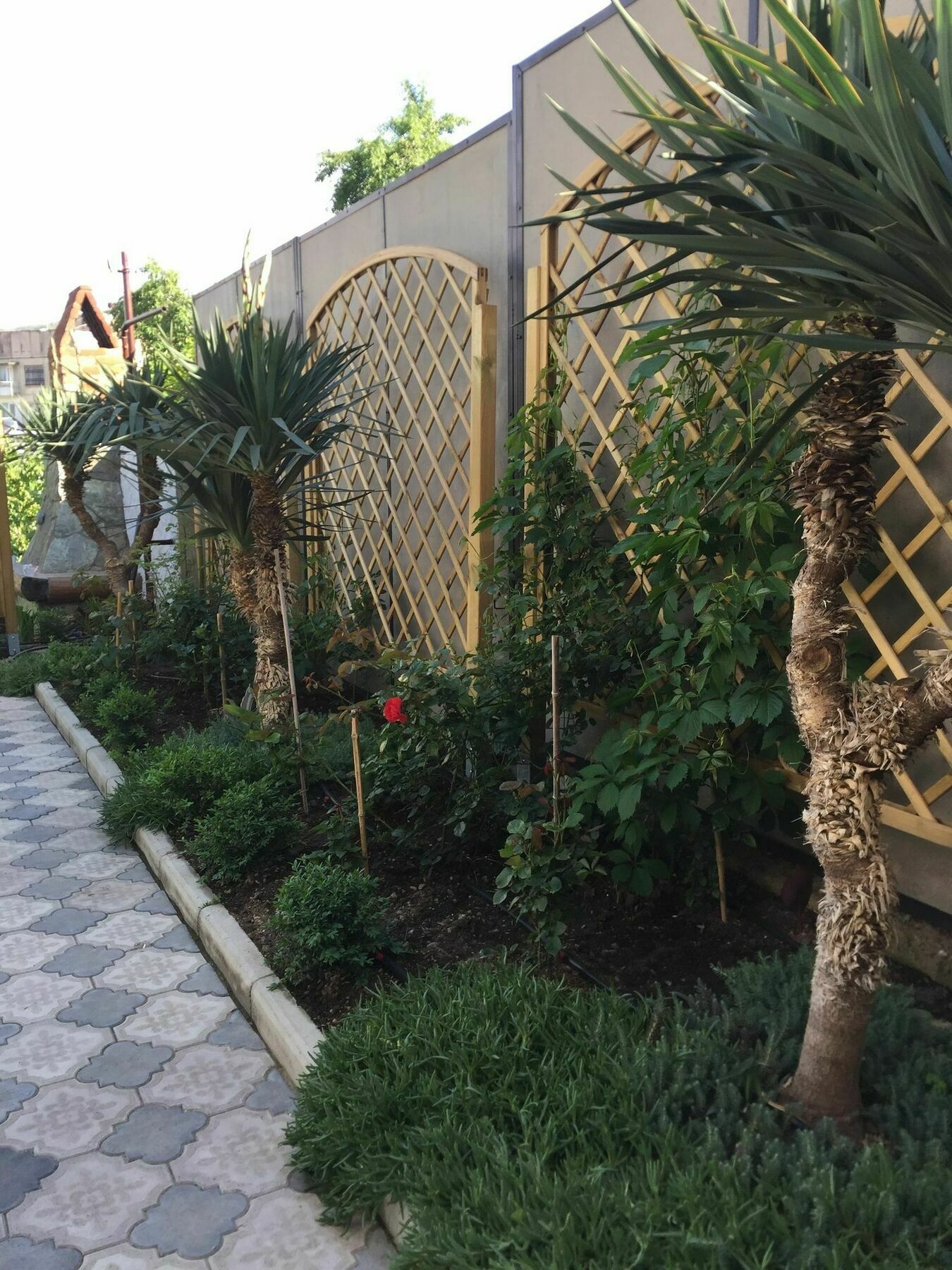 Hotel My Garden à Tbilissi Extérieur photo