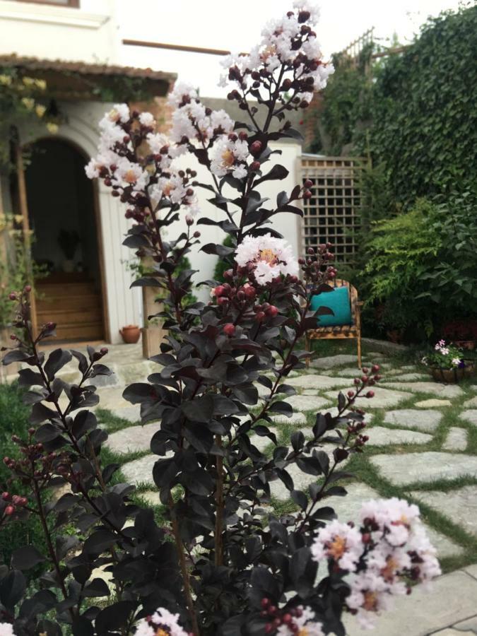 Hotel My Garden à Tbilissi Extérieur photo